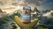 Coastal Mist Invisible Glide Deodorant - Smooth Outdoor Fresh