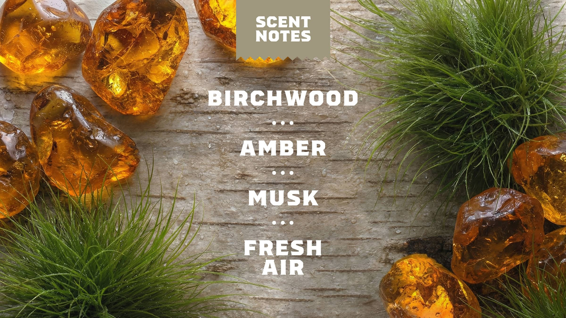 Birchwood Breeze Invisible Glide Deodorant - Smooth Clean Shield