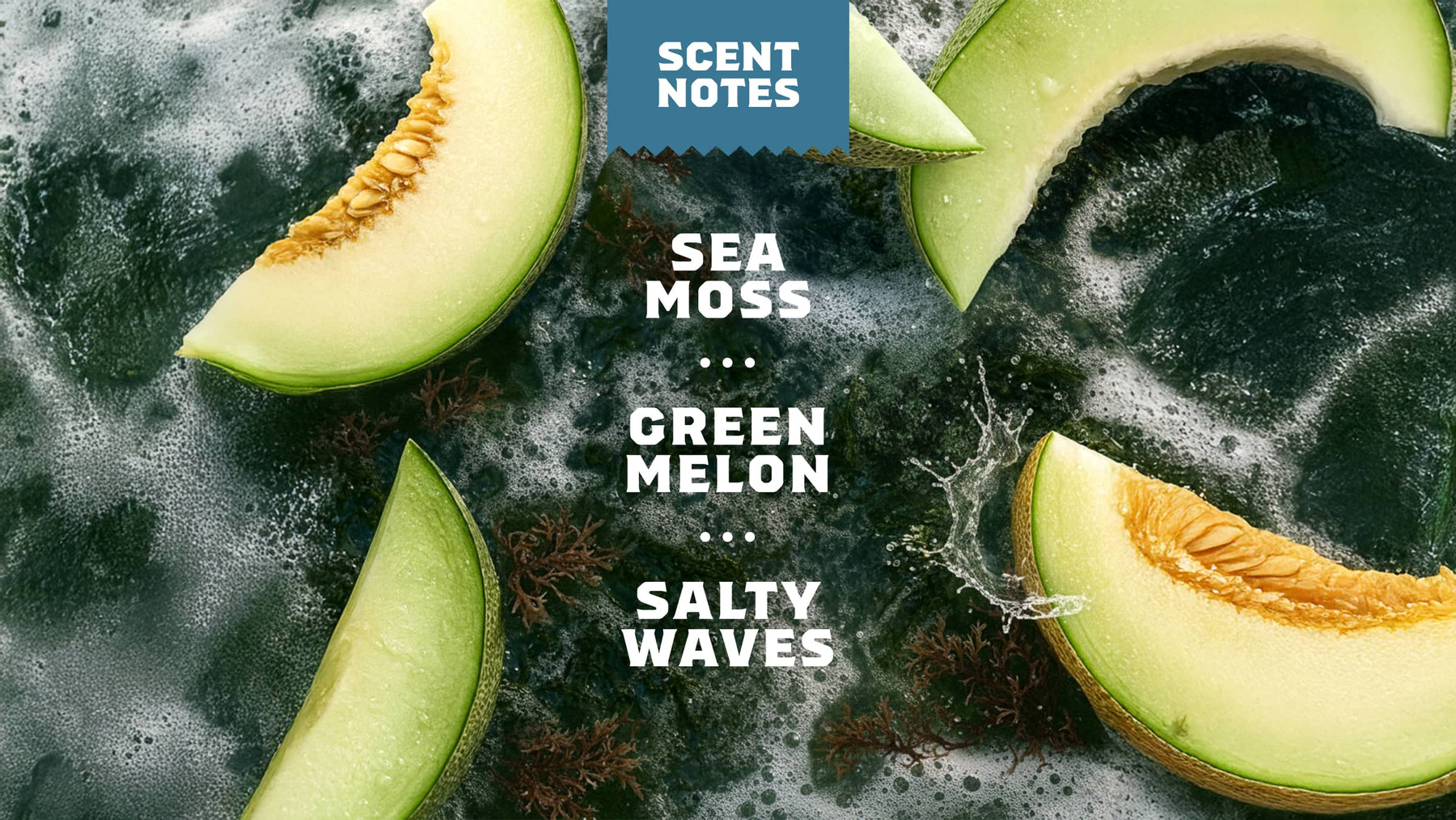 14 oz Coastal Mist Body Wash - Modern Morning Lather