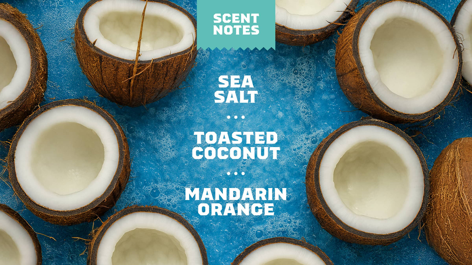 Coconut Castaway Deodorant - Active Clean Glide