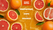 Grapefruit IPA - Easy Shower Wash