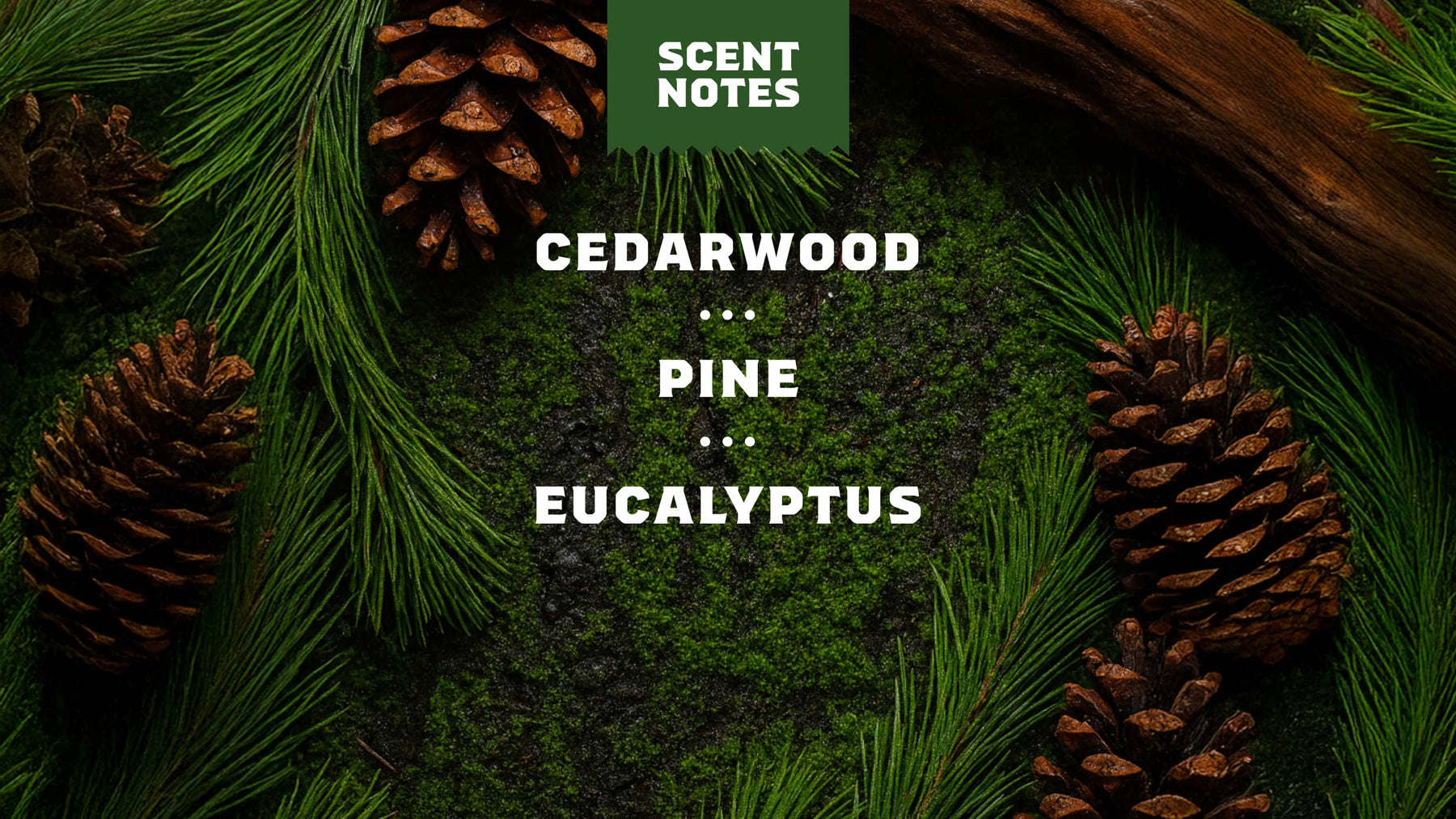 Easy Glide Shave Butter Pine Tar - Travel Clean Guard