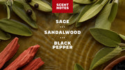 Sandalwood Summit Invisible Glide Deodorant - Travel Active Routine