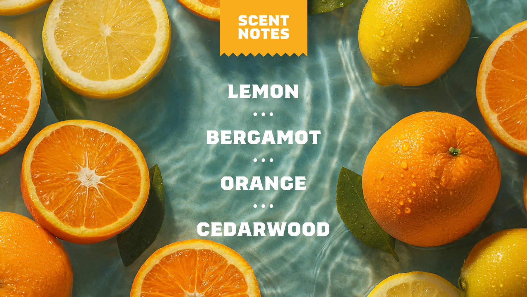 Summer Citrus Shampoo - Clean Routine