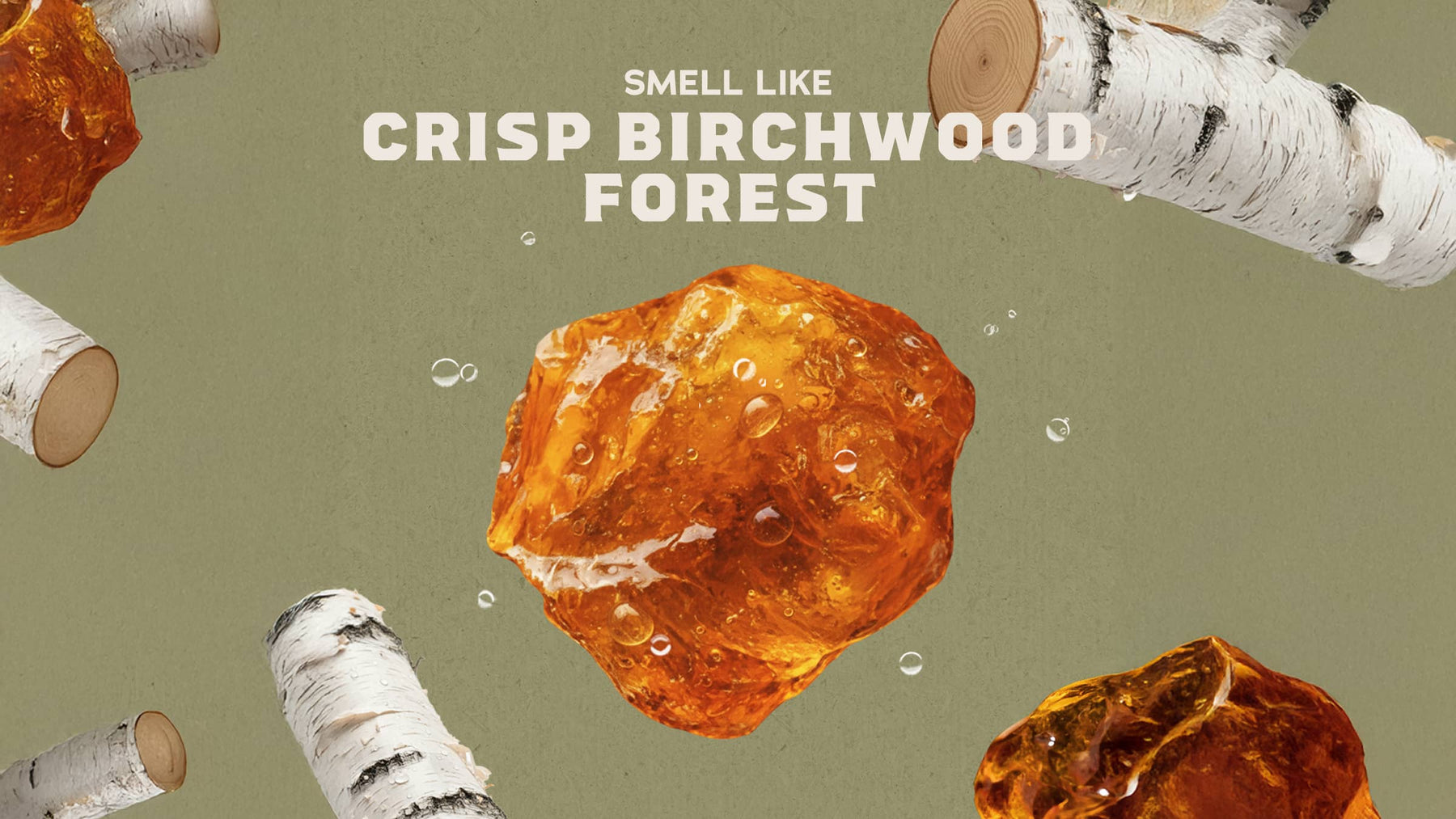 Deodorant Christian - Forest Daily Routine
