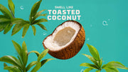 Coconut Castaway Lotion - Bright Comfort Touch