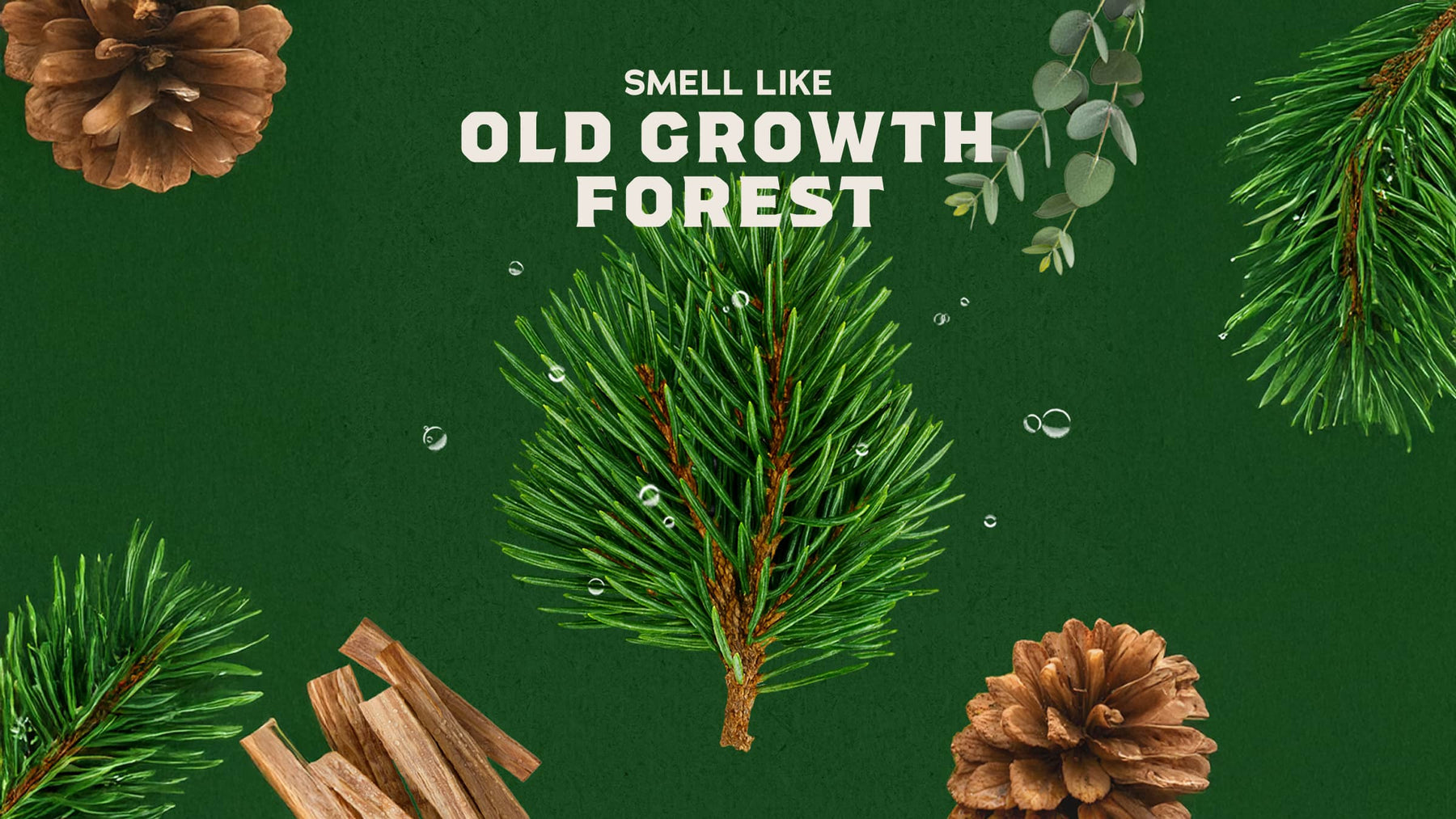 14 oz Pine Tar Exfoliating Body Wash - Outdoor Routine