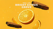 Summer Citrus - Morning Wash